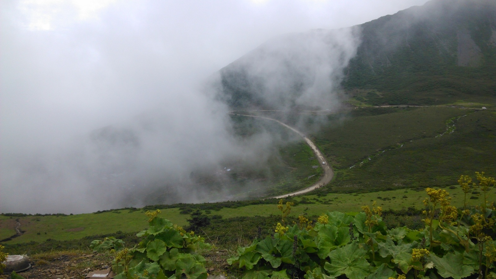 山上的路都是这样啦，车辆们纷纷冲破云雾，奔向山顶